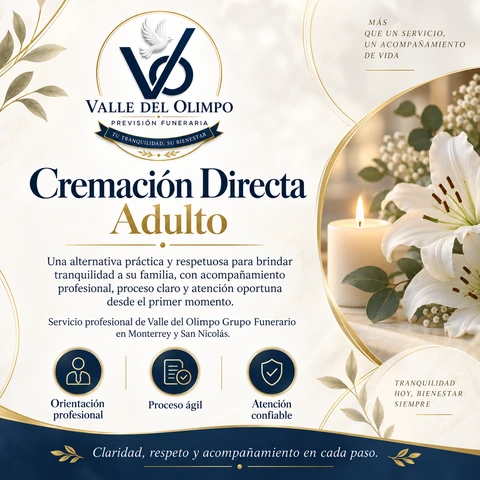 Pieza gráfica de previsión: cremacion directa